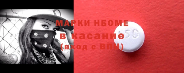 хмурый Абаза