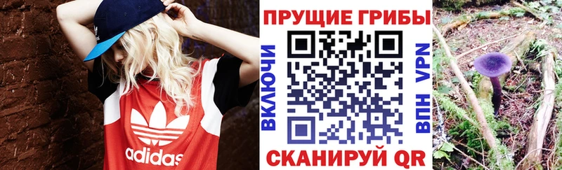нарко площадка формула Нюрба Галлюциногенные грибы Psilocybe